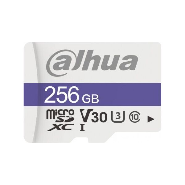 Karta Dahua Technology TF-C100 MicroSDXC 256 GB Class 10 U3 V30 (TF-C100/256GB)