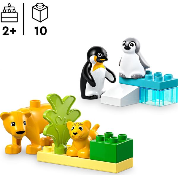 Duplo Rodziny dzikich zwierząt: pingwiny i lwy (10442)