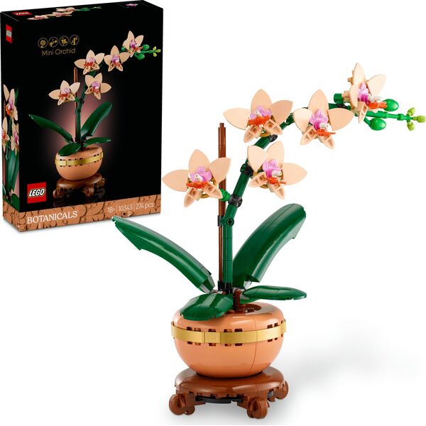 Botanicals Mała orchidea (10343)