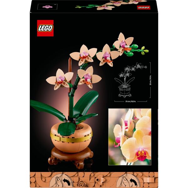 Botanicals Mała orchidea (10343)