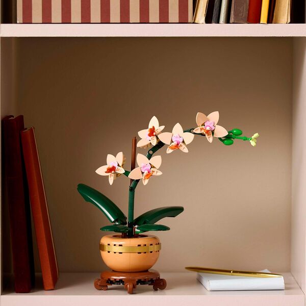 Botanicals Mała orchidea (10343)