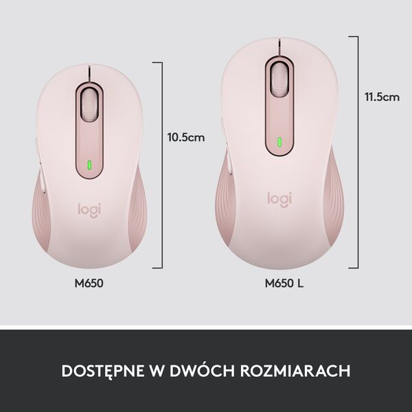 Brak skonfigurowanej nazwy - skonfiguruj lub ustaw ręcznie