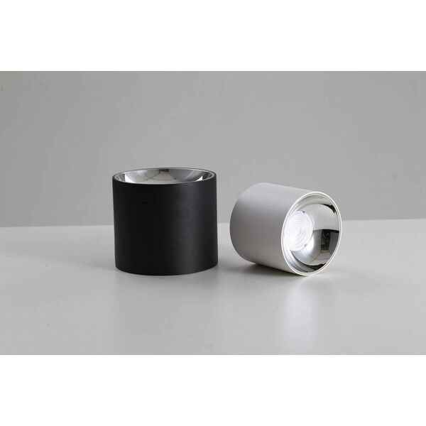Lampa sufitowa Blaupunkt LAMPA sufitowa ROLLER DLW10 Blaupunkt metalowa OPRAWA downlight LED 10W 4000K tuba biała