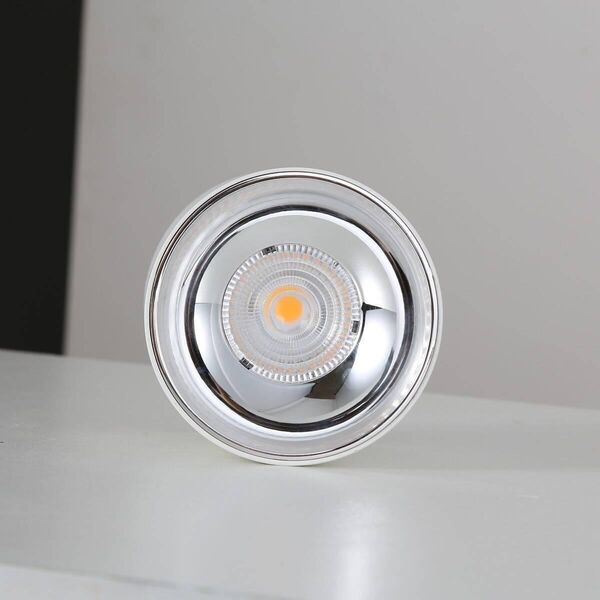 Lampa sufitowa Blaupunkt LAMPA sufitowa ROLLER DLW10 Blaupunkt metalowa OPRAWA downlight LED 10W 4000K tuba biała