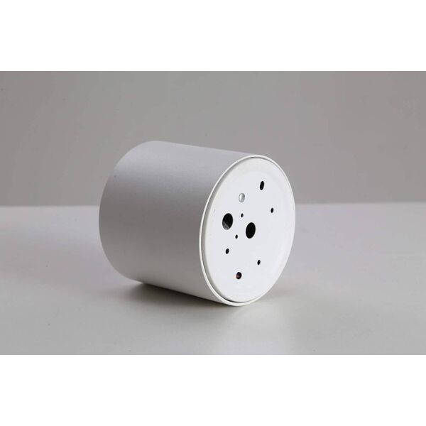 Lampa sufitowa Blaupunkt LAMPA sufitowa ROLLER DLW10 Blaupunkt metalowa OPRAWA downlight LED 10W 4000K tuba biała
