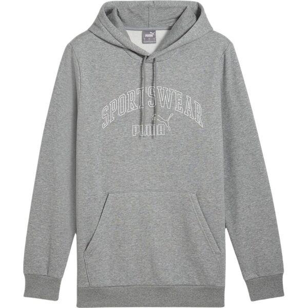 Puma Bluza męska Puma Ess  Logo LAB Gradient Hoodie FL szara 681775 03 L