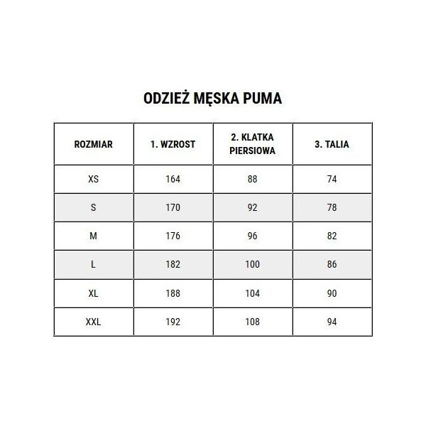 Puma Bluza męska Puma Ess  Logo LAB Gradient Hoodie FL szara 681775 03 M
