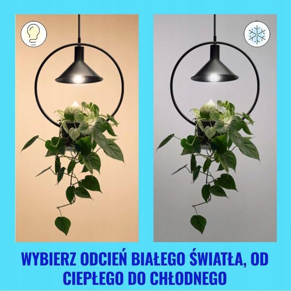 Signify WiZ White 60W E27 A60 Standard Filament clear Tunable Einzelp.