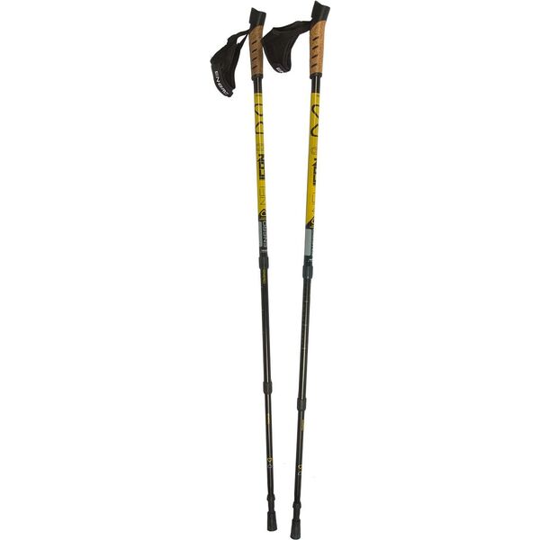 Victoria Sport Kije Nordic Walking Enero Newicon + Pokrowiec