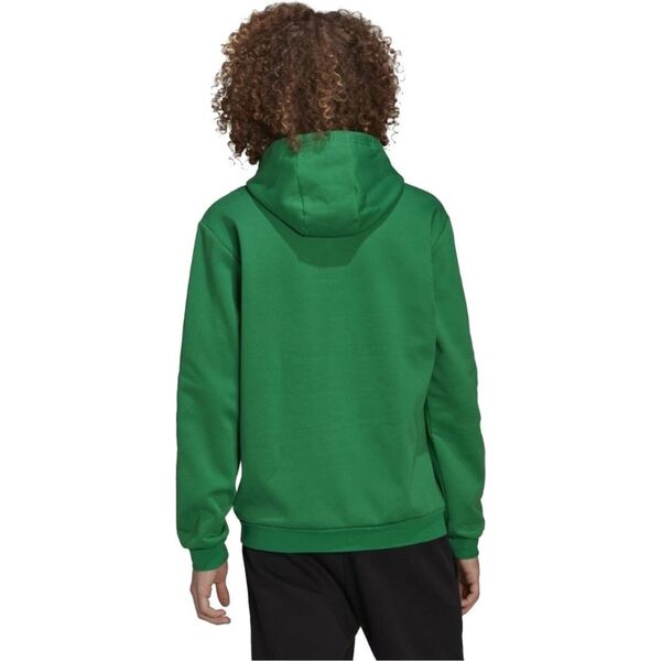 Adidas adidas Entrada 22 Sweatshirt HI2141 Zielone 3XL