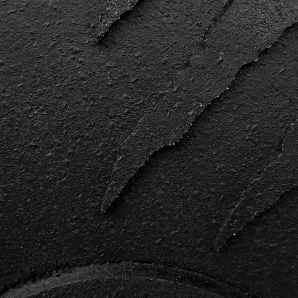 Tiguar Talerz bumper 10 kg V2