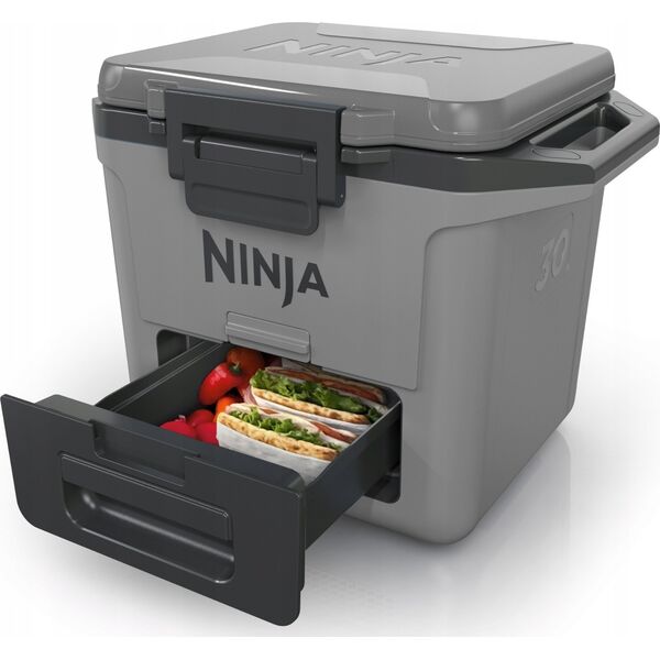 Ninja Ninja FrostVault 28 L FB131EUGY 13812446 622356289535