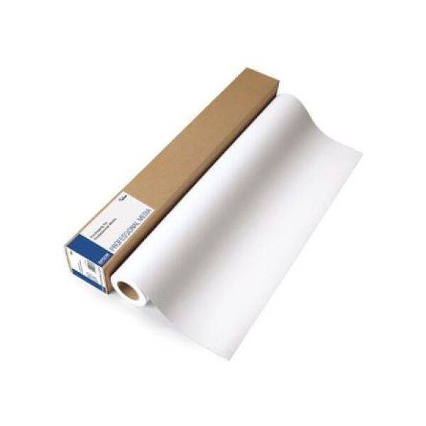 Epson  (C13S042079)