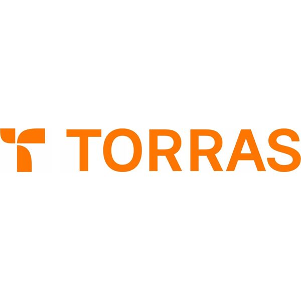 Torras Etui Torras Diamond-Mag Series dla iPhone 16 (Przeźroczyste)