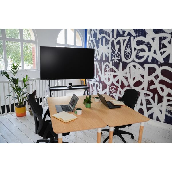Vision VISION Display Staffelei Trolley - LEBENSLANGE GARANTIE - Wagen passt fur Displays von 55-100" with VESA-Grossen bis zu 900 x 600 - mach jede Teams- oder Zoom-Einrichtung mobil - 240 x 250 x 250 mm 13809051 8623450000000