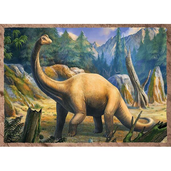 Trefl Puzzle 4w1 Ciekawe dinozaury 34383 Trefl p8