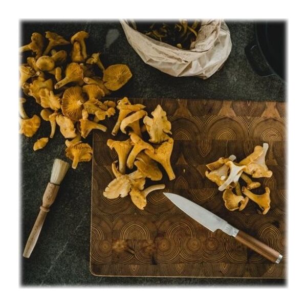 Fiskars Norden small chef's knife