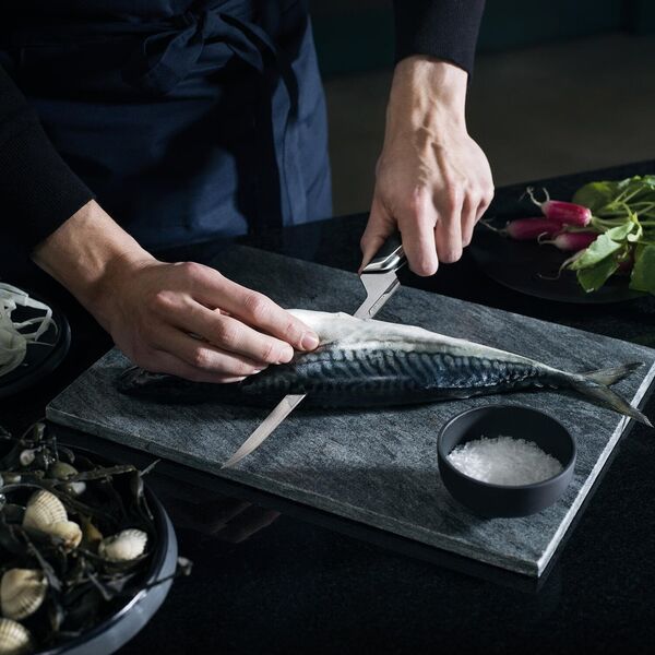 Μαχαίρι Fiskars Taiten για φιλετάρισμα 21εκ 13533821 6424002016618