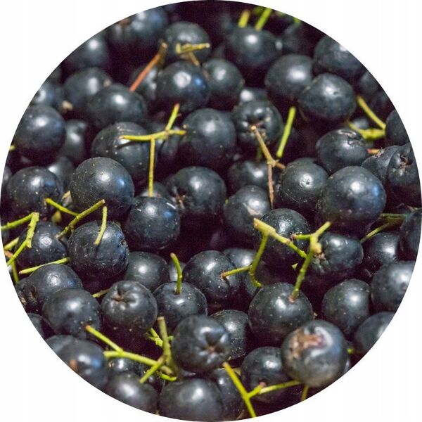 Tivo TIVO ARONIA 70G 6014 10732241 5904730460149