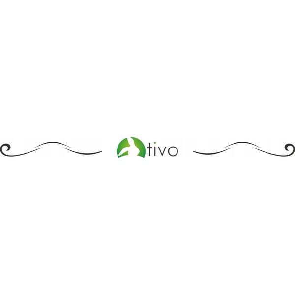 Tivo TIVO Μαϊντανός 100G 6058 10732249 5904730460583