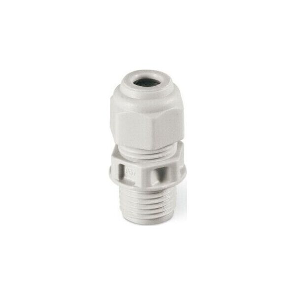Scame Gland DW-36 (PG) 805.3347 Scame 13474998 8001636016542