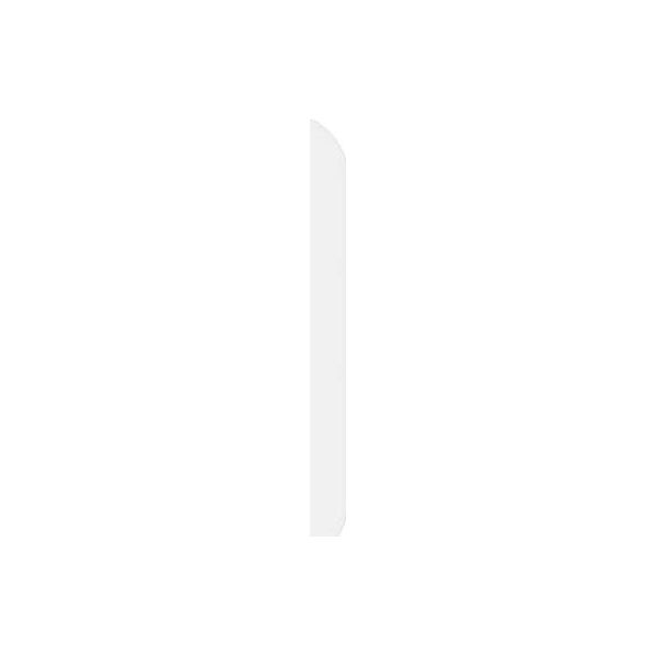 Szkło hartowane Insta360 Ace Pro 2/Ace Pro Screen Protector