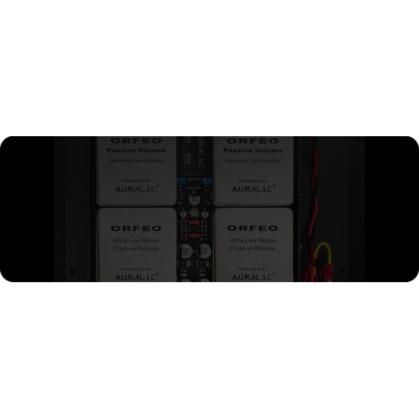 Auralic AURALIC VEGA S1 - Streaming DAC 14138615 4251190800420