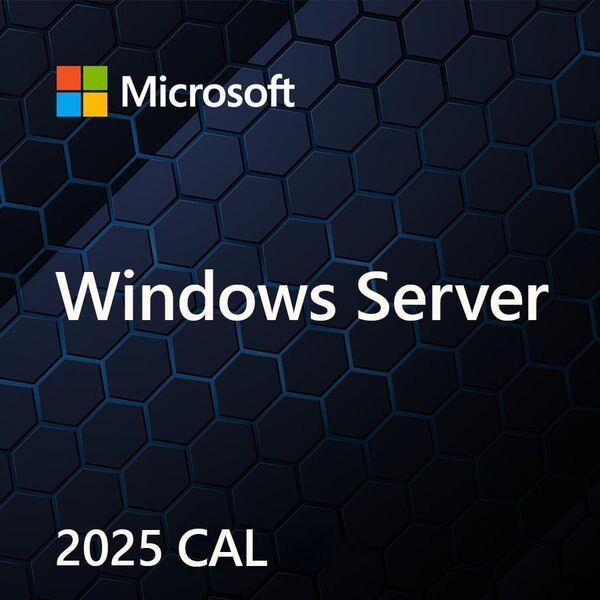 Microsoft Windows Server 2025 CAL PL OEM  (EP2-25268)