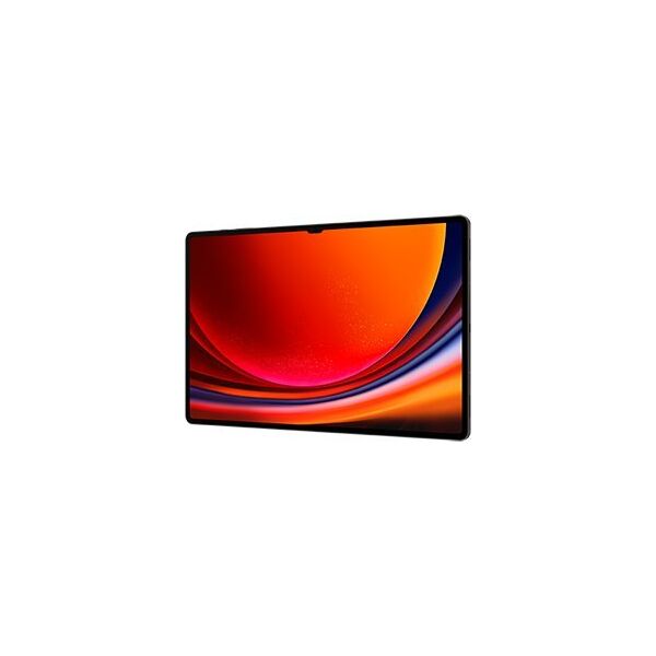 Tablet Samsung Galaxy Tab S9 Ultra 14.6" 1024 GB Grafitowy (SM-X910NZAIEUB)