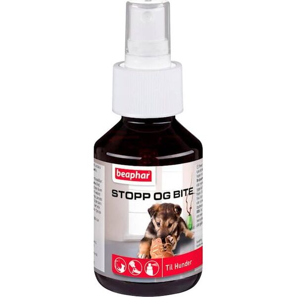 Beaphar Beaphar Sluta σαντιγί 100ml 13801737 8711231107209