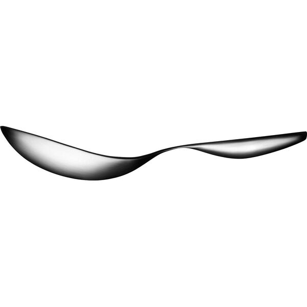 Μικρό κουτάλι σερβιρίσματος Iittala Collective Tools 13868900 6428501890816
