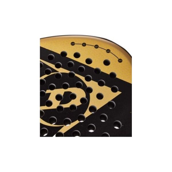 Μαστίγιο Dunlop Padel Dunlop AERO-STAR LITE 16K Carbon 355g, Teresa Navarro 13858351 45566304247