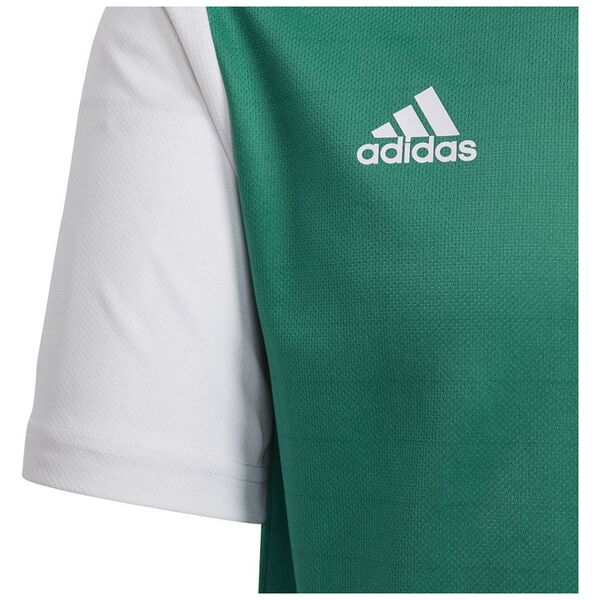 Adidas Koszulka adidas Estro 19 JSY Y DP3216 DP3216 zielony 164 cm