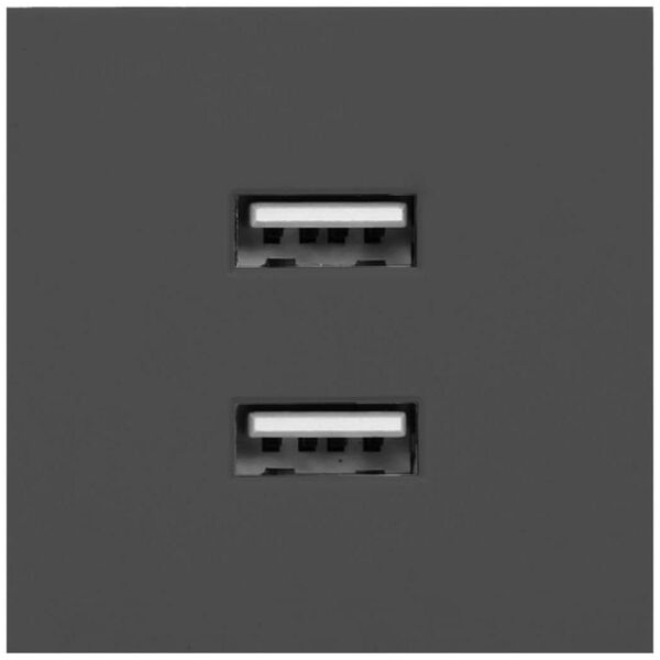 Orno NOEN USB x 2, podwójny port modułowy 45x45mm z ładowarką USB, 2,1A 5V DC, czarny