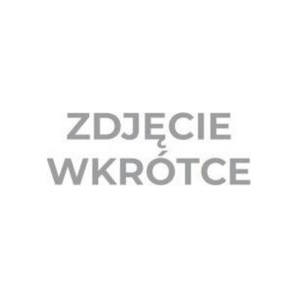 Tesa SIATKA MASKUJĄCA DO PŁYT KARTONOWO-GIPSOWYCH 45M:48MM (H6010101) DW