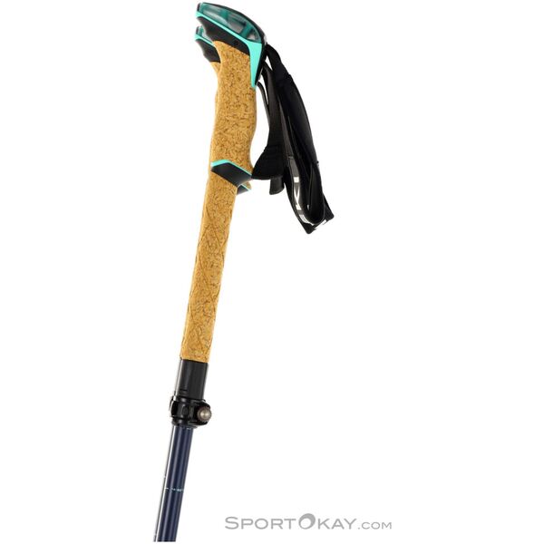 Leki LE KIEJ BERNINA FX CARBON 100-120 13296763 4028173324699