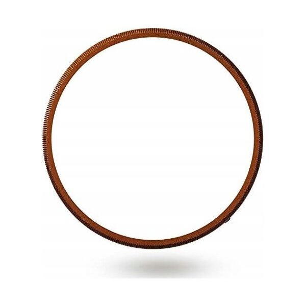 Ricoh GN-2 Ring Cap, bronze