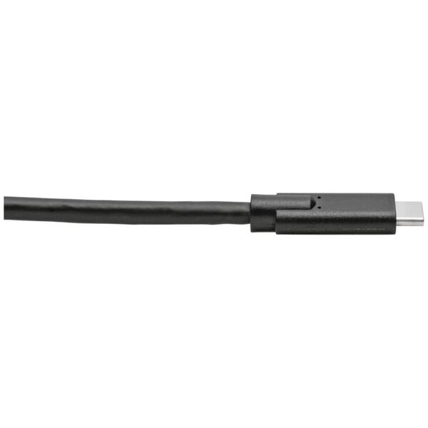 Kabel USB Eaton USB-C - USB-C 3.05 m Czarny (U420-010)