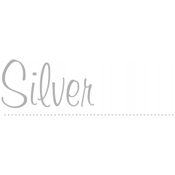 Paronimy 60el 5 Silver 28751