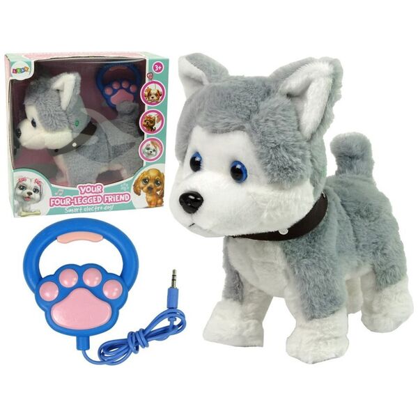 LeanToys Pluszowy Piesek Husky Interaktywny Edukacyjny Smycz Piosenki Chodzi