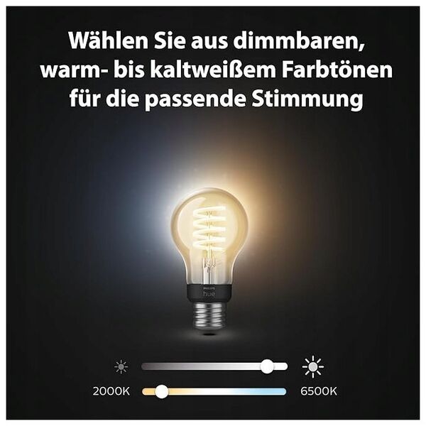 Philips Philips Hue White Ambiance E27 Filament 3erPack