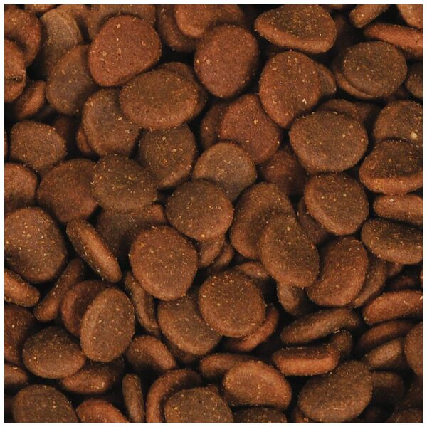 Orijen ORIJEN 6 Fish Cat 340g