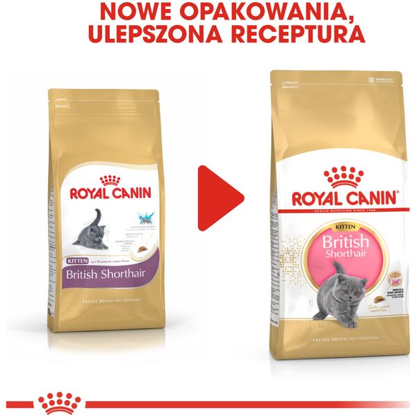 Royal Canin British Shorthair Kitten karma sucha dla kociąt, do 12 miesiąca, rasy brytyjski krótkowłosy 0.4kg