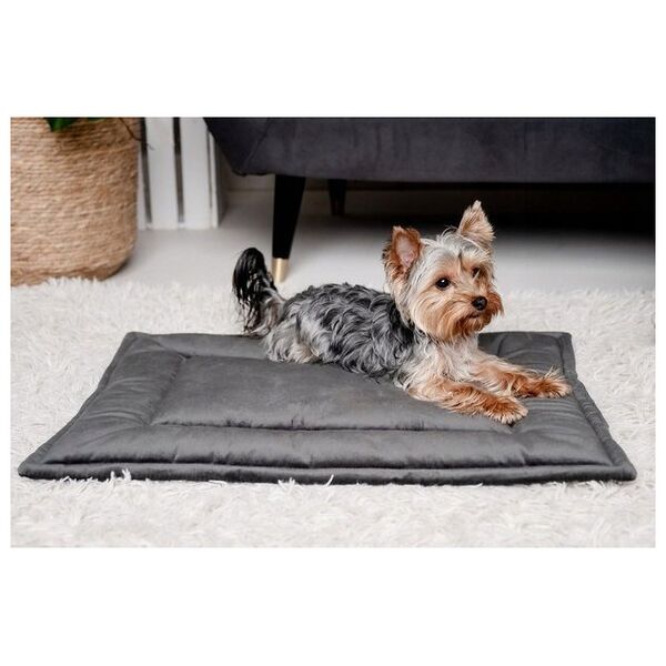 Mimikoko MIMIKO Pets Mata Velvet 70x50cm grafit