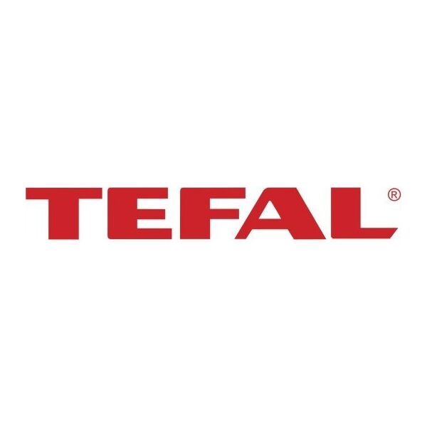 Vacuum cleaner - broom Tefal X-Force Flex 14.60 Aqua, TY99C