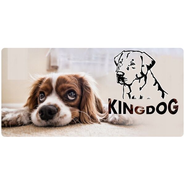 AIO FACTORY Legowisko Imię Pupila KINGDOG 115x95 Czerwone