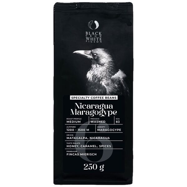 Specialty coffee beans Black Crow White Pigeon Nicaragua Maragogype, 250 g