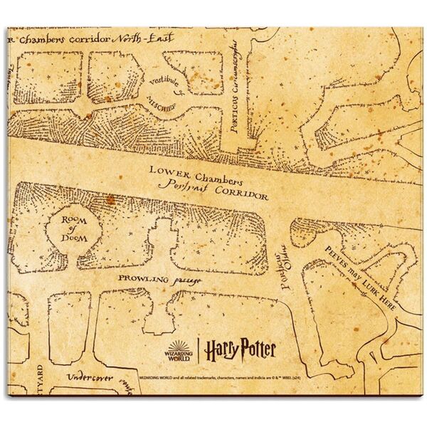 Harry Potter Harry Potter - Planner tygodniowy z karteczkami samoprzylepnymi (19,3 x 16,5 cm)