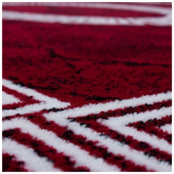 Ayyildiz Hali Ayyildiz kilimas Plus Red 8009, 200x290 cm