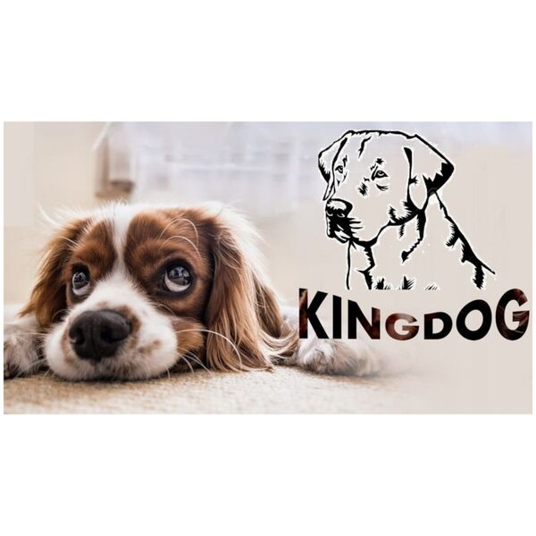 AIO Europe Legowisko dla psa 145 x 115 Ciemnoszare KingDog